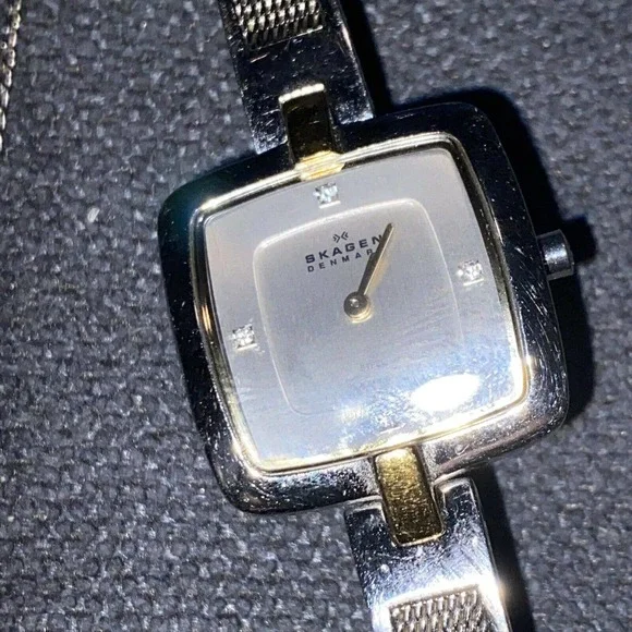 Skagen | Accessories | Skagen Denmark Stainless Steel  display picture 1